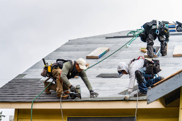 Professional Gutter Installation technician working in Fairview, MT